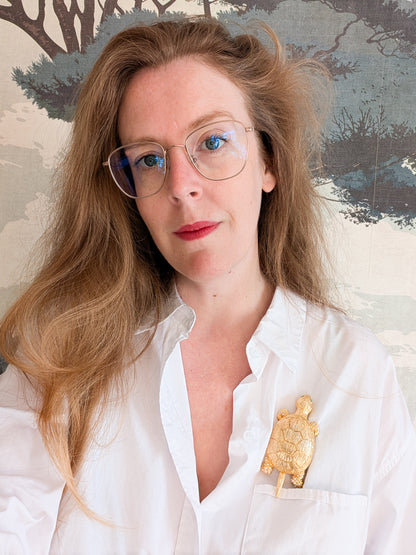 Très grande broche tortue