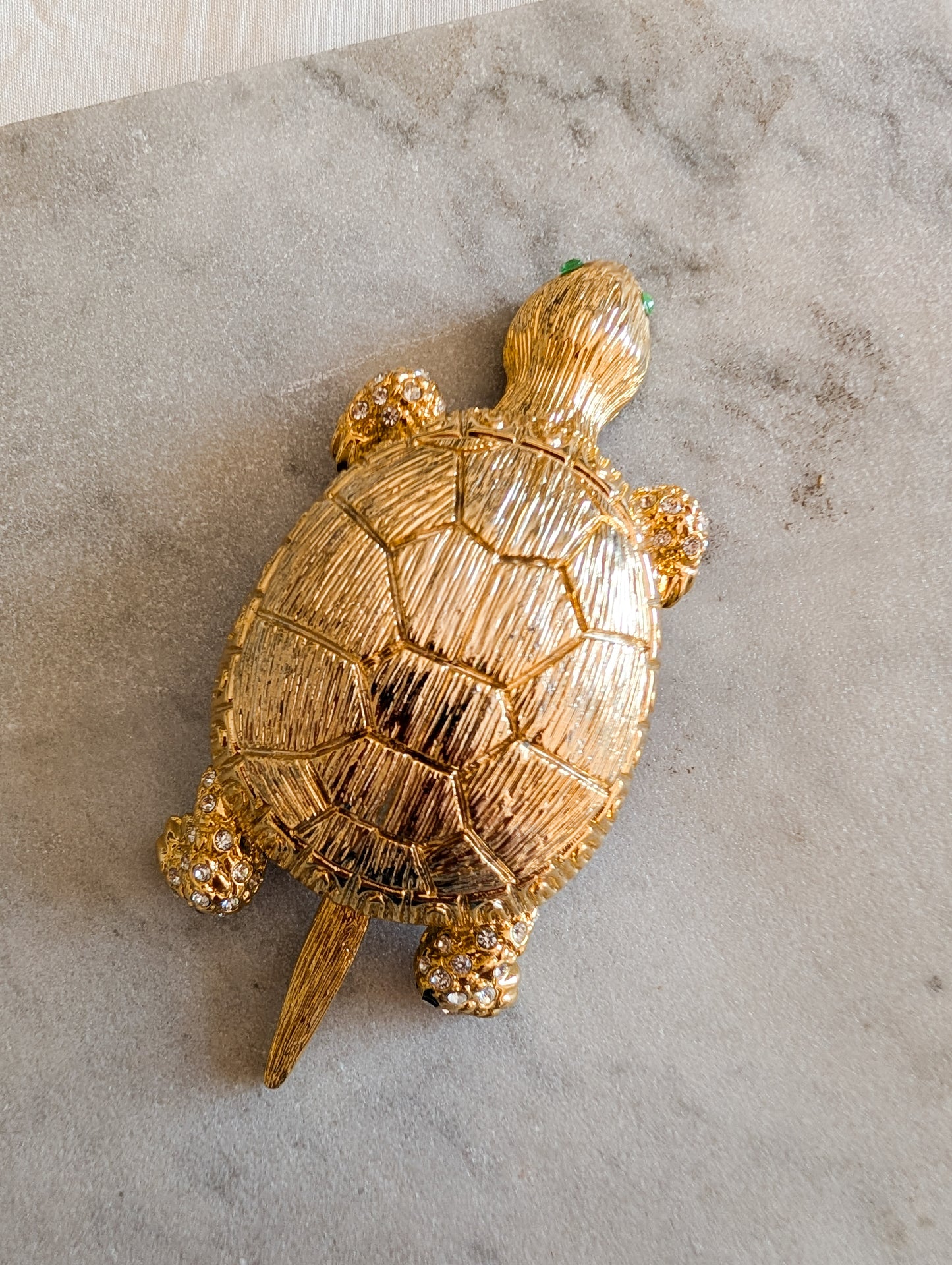 Très grande broche tortue