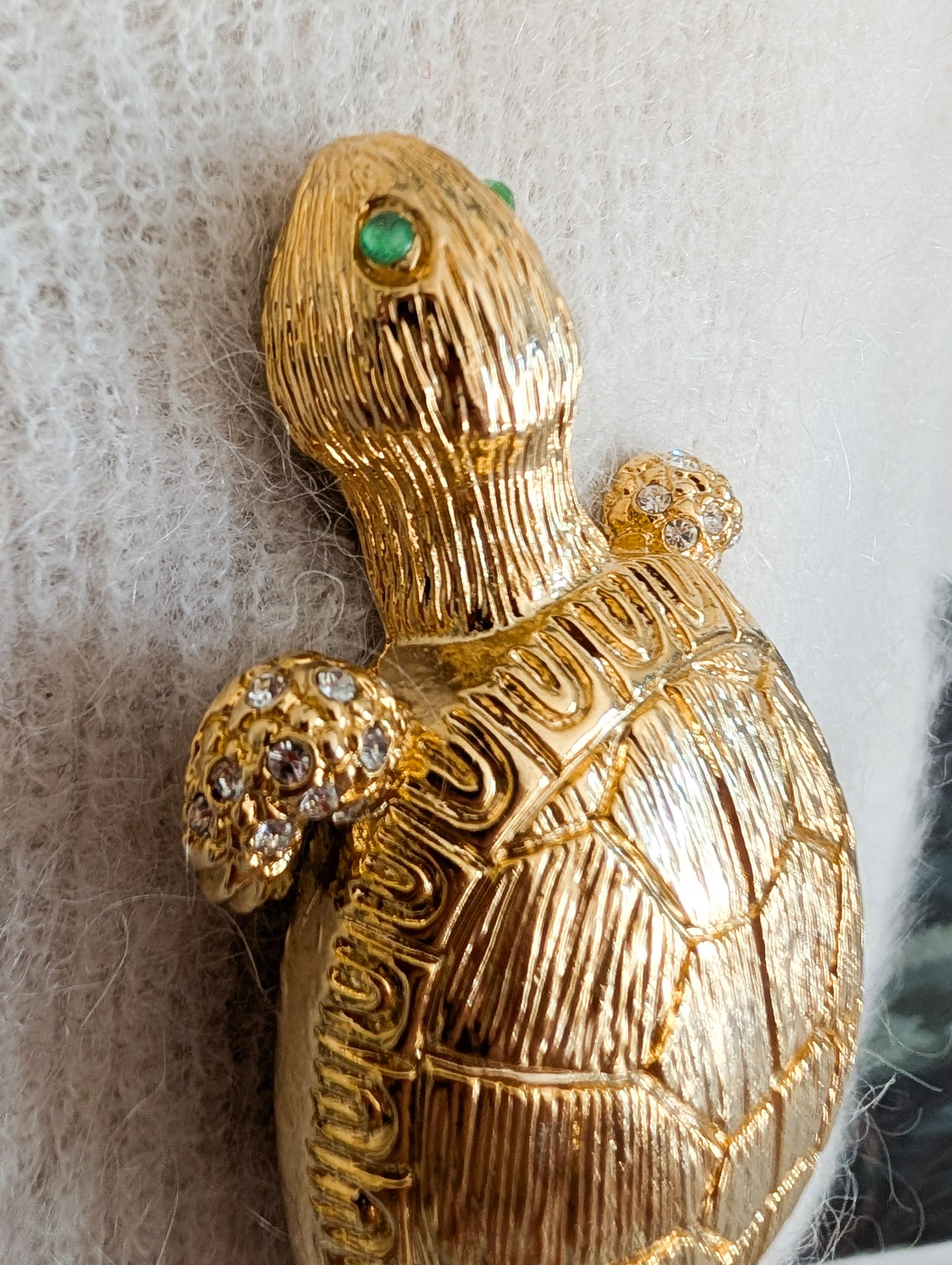 Très grande broche tortue