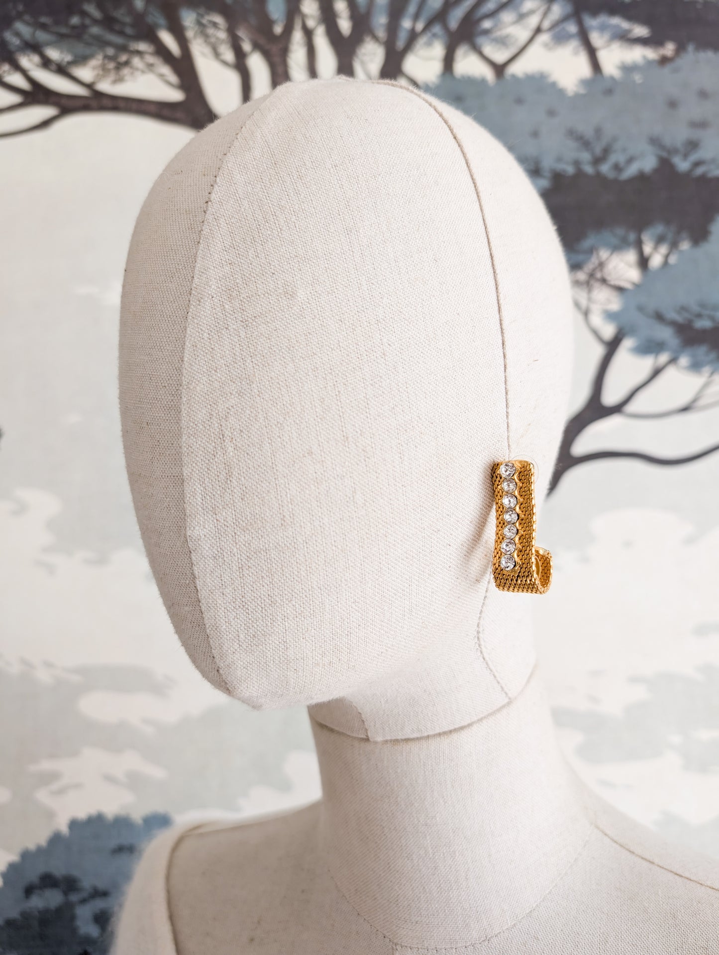 Boucles oreilles percées