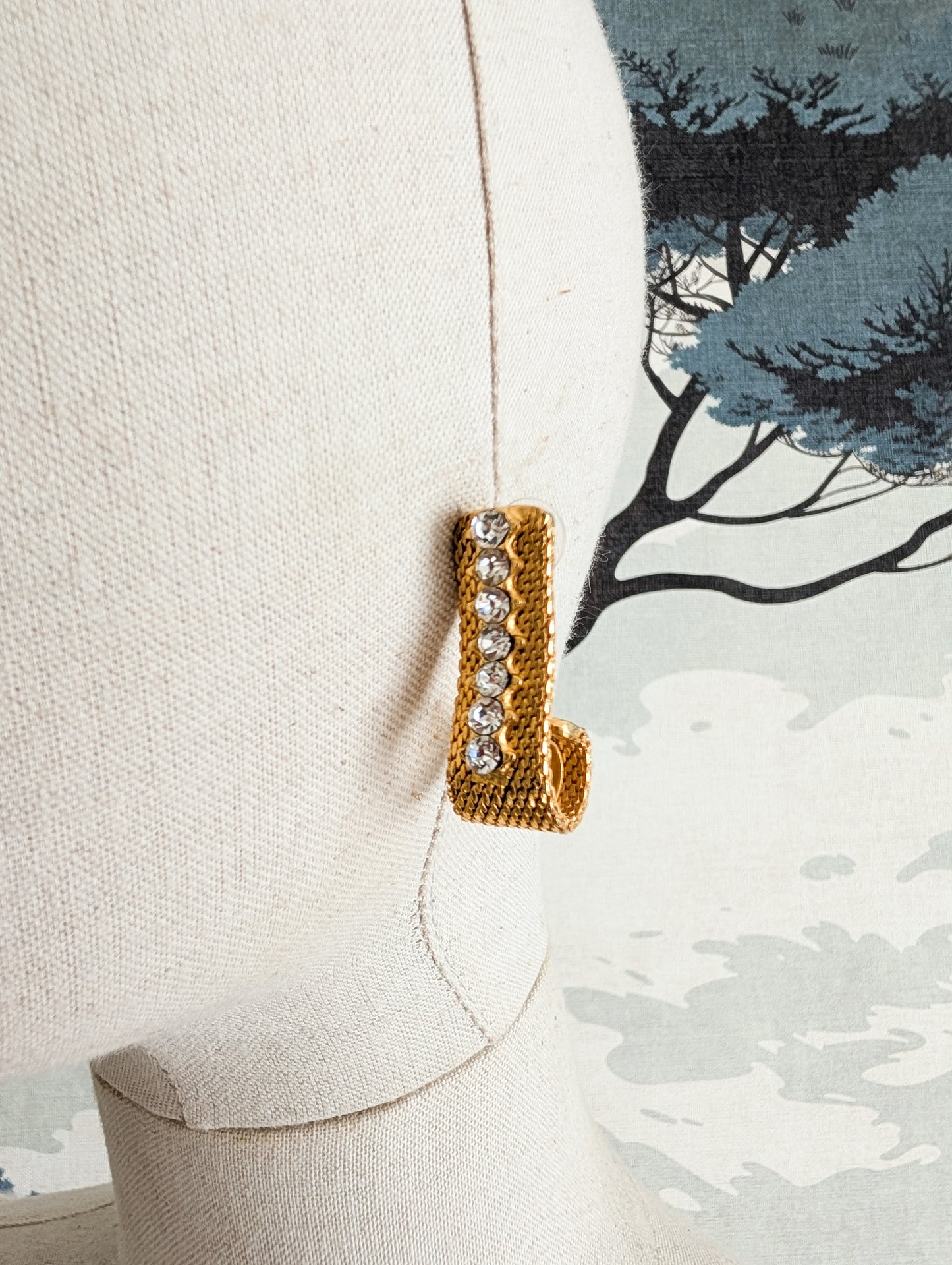 Boucles oreilles percées