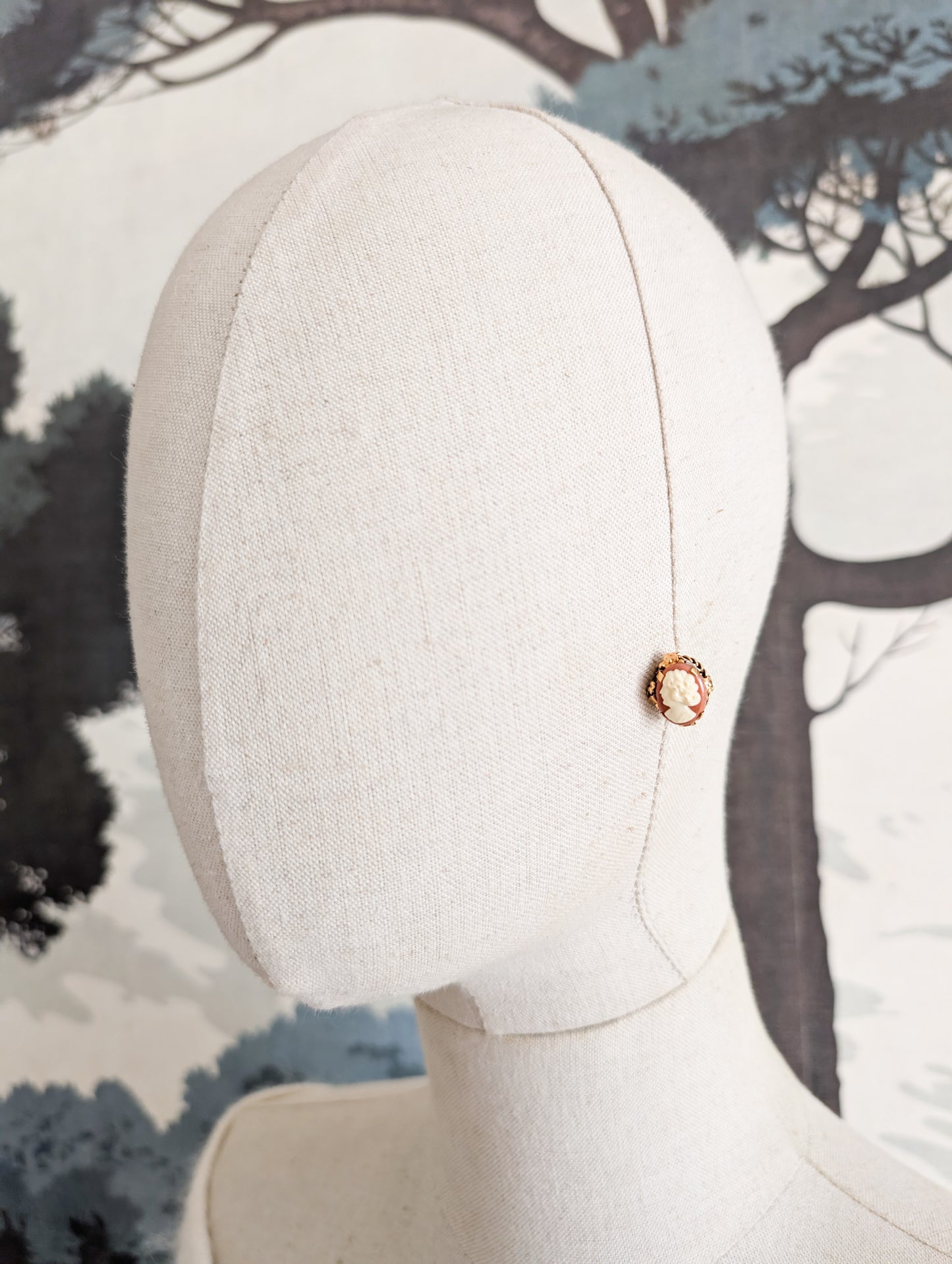 Boucles camés oreilles percées