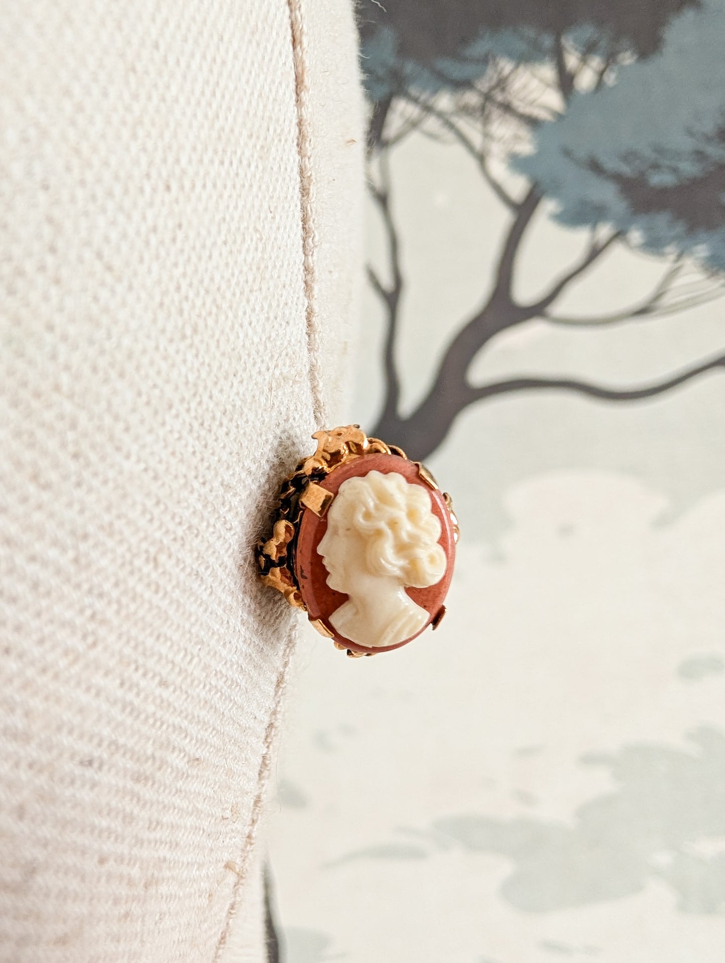 Boucles camés oreilles percées