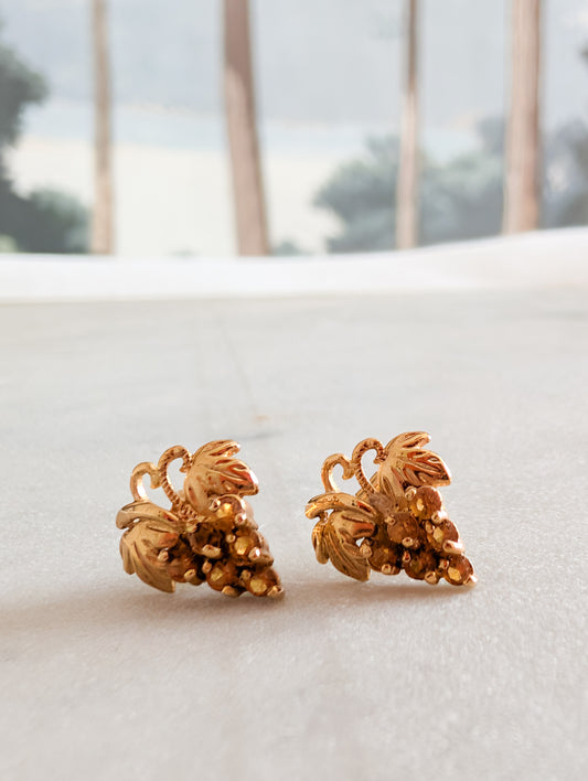 Boucles grappes oreilles percées