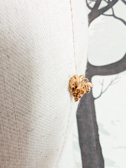 Boucles grappes oreilles percées