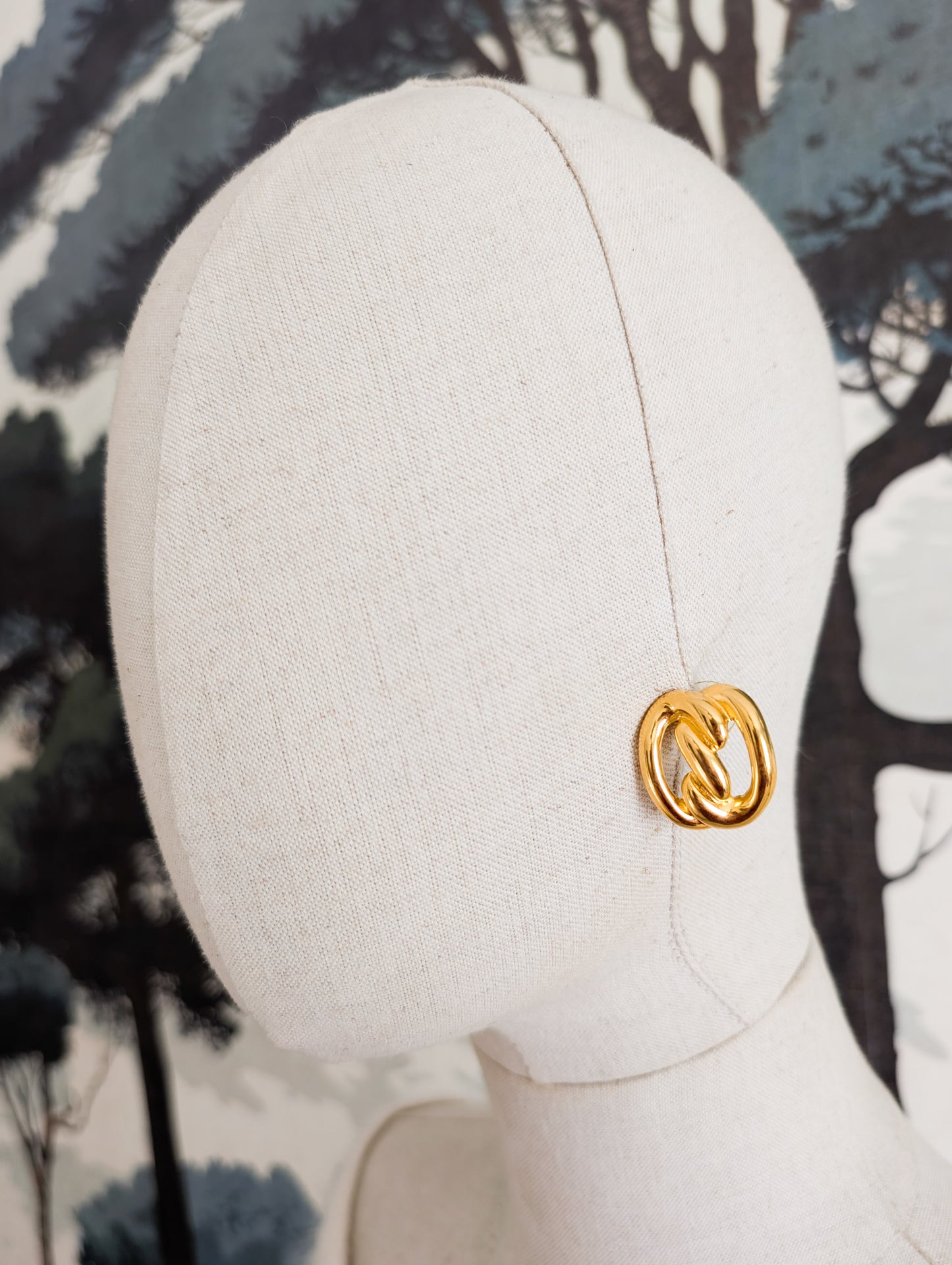 Boucles oreilles percées