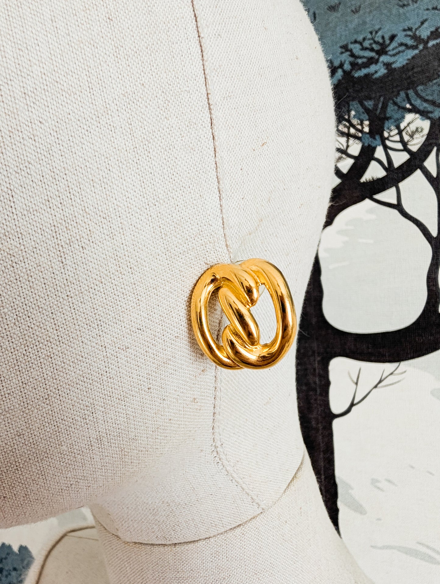 Boucles oreilles percées