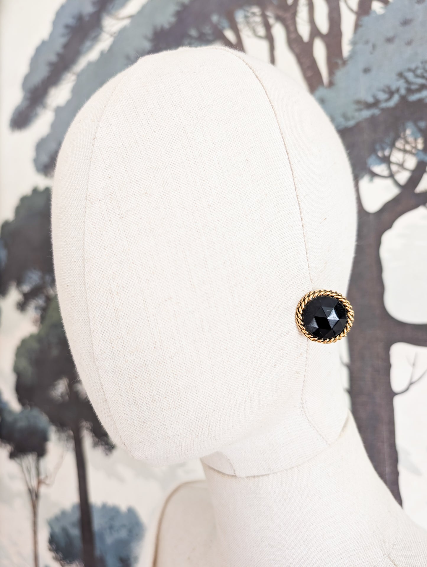 Boucles oreilles percées