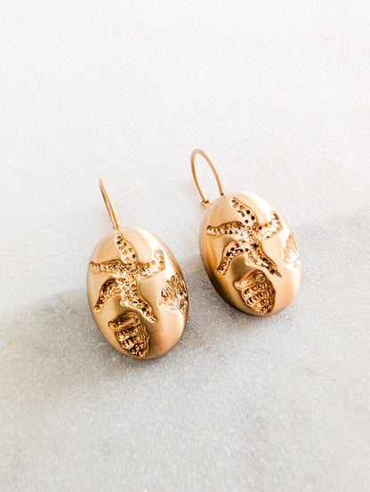 Boucles coquillages oreilles percées