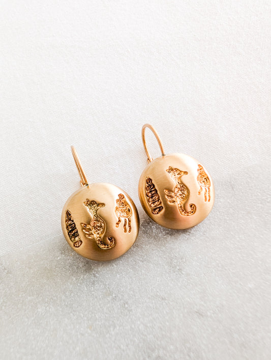 Boucles coquillages oreilles percées