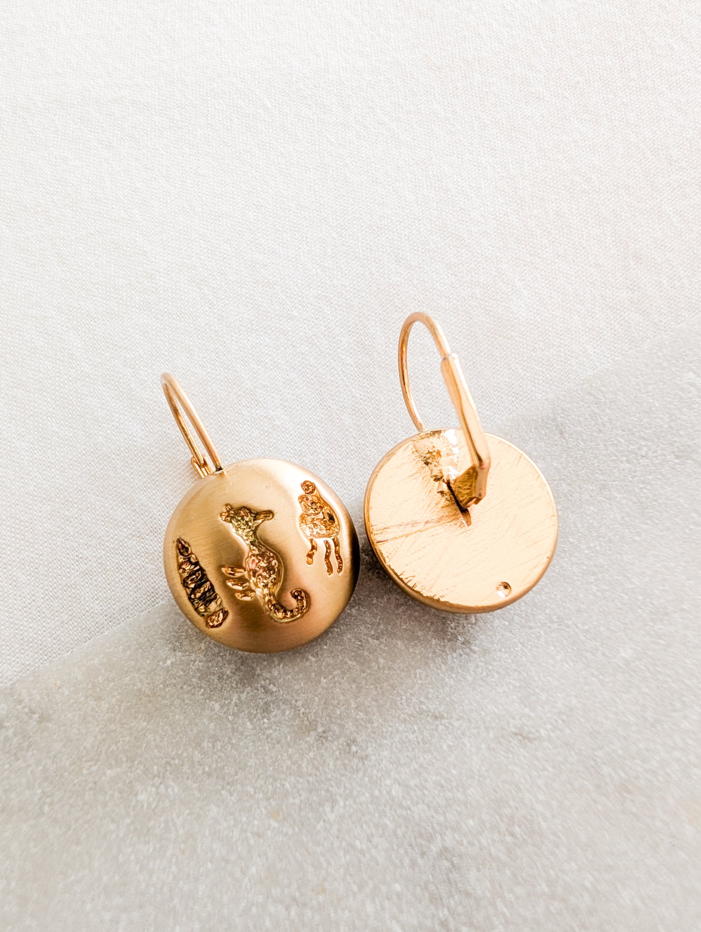 Boucles coquillages oreilles percées