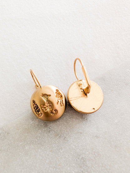 Boucles coquillages oreilles percées