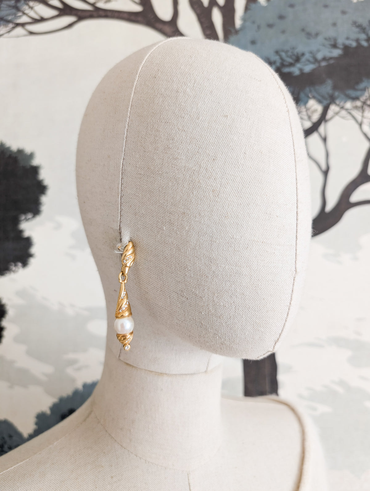 Longues boucles oreilles percées