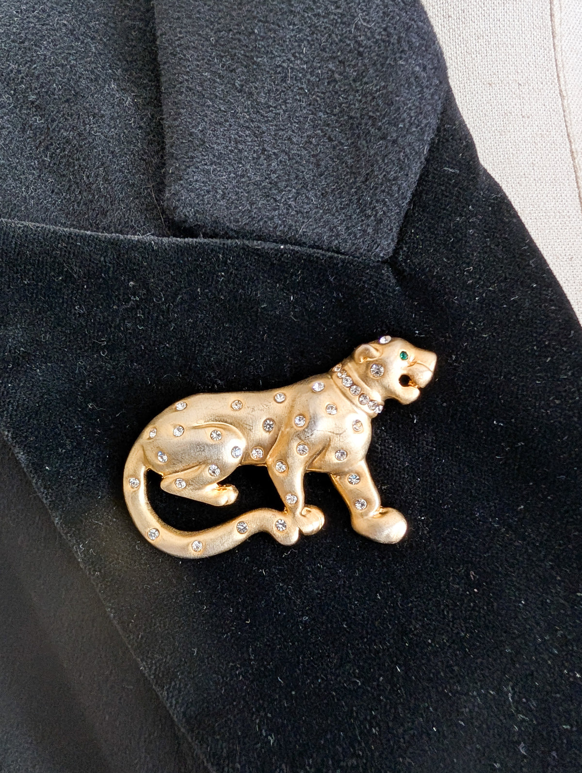 Broche panthère américaine